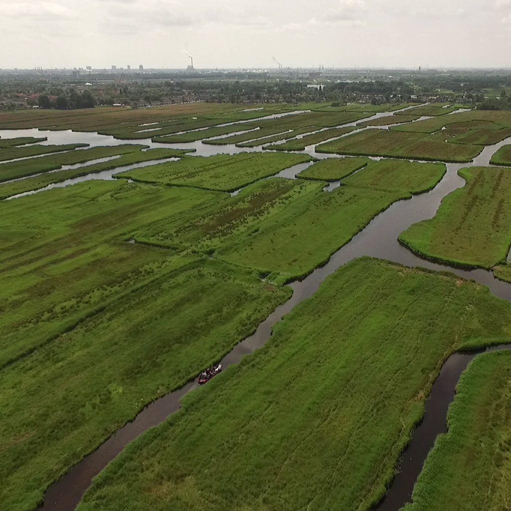 1280x853-Ilperveld (3) hoofdfoto